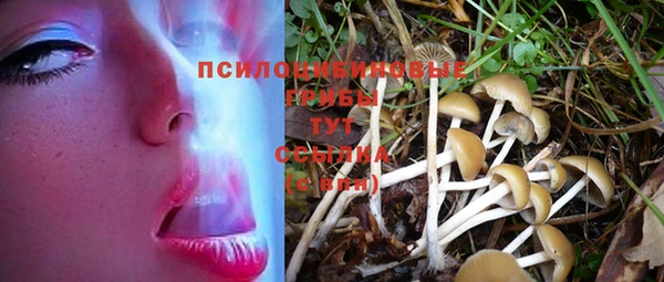 мяу мяу кристалл Алзамай