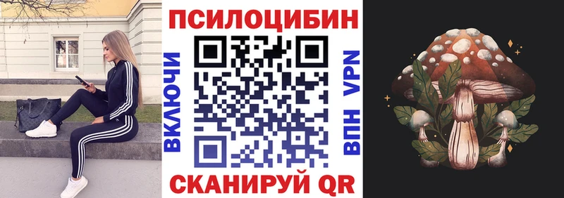 блэк спрут ссылка  сколько стоит  Гаджиево  Псилоцибиновые грибы прущие грибы 